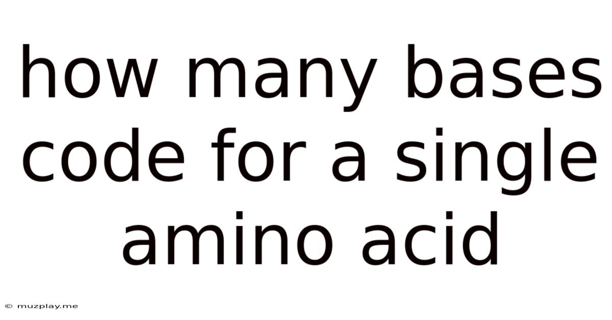 How Many Bases Code For A Single Amino Acid