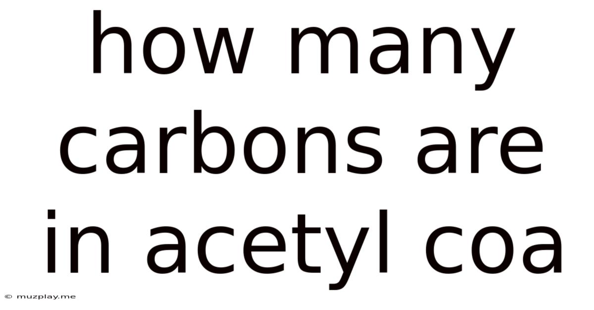 How Many Carbons Are In Acetyl Coa