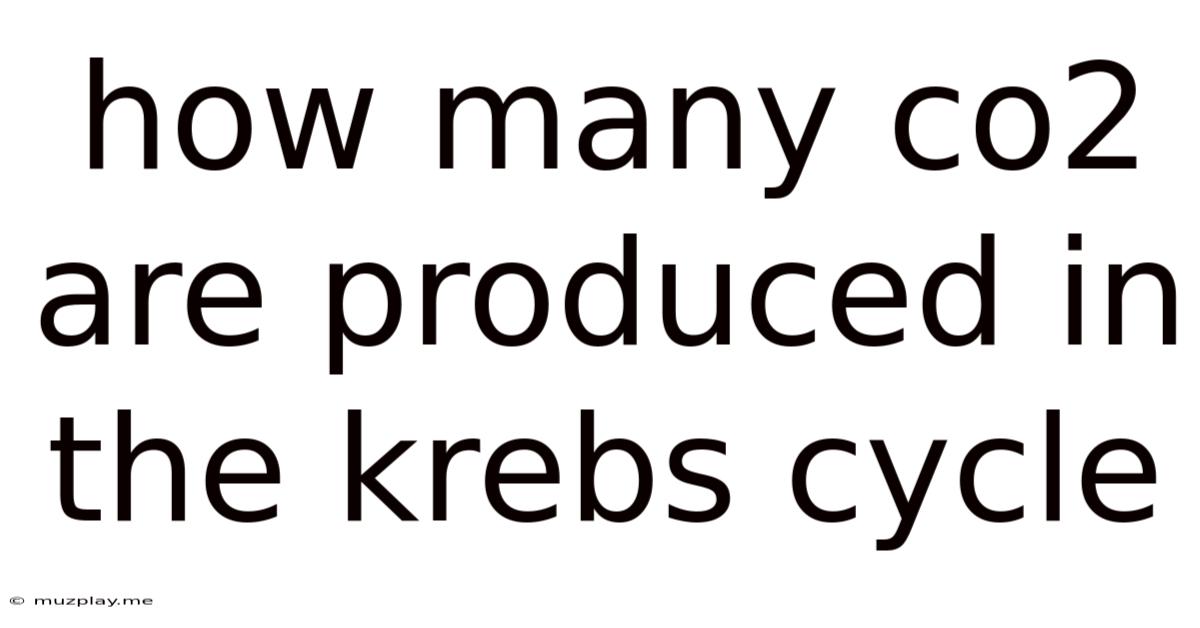 How Many Co2 Are Produced In The Krebs Cycle