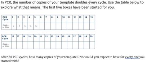 How Many Copies Of Dna Are Generated After 30 Cycles