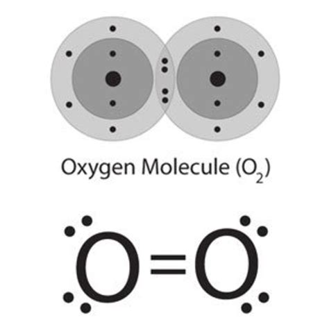 How Many Covalent Bonds Does Oxygen Have