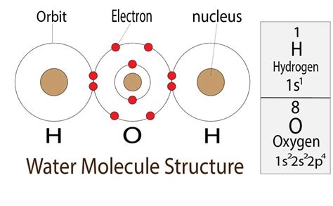 How Many Electron Domain Groups Does Water Have