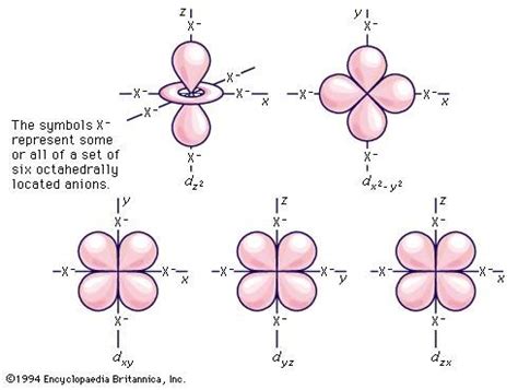 How Many Electrons Does The D Orbital Hold