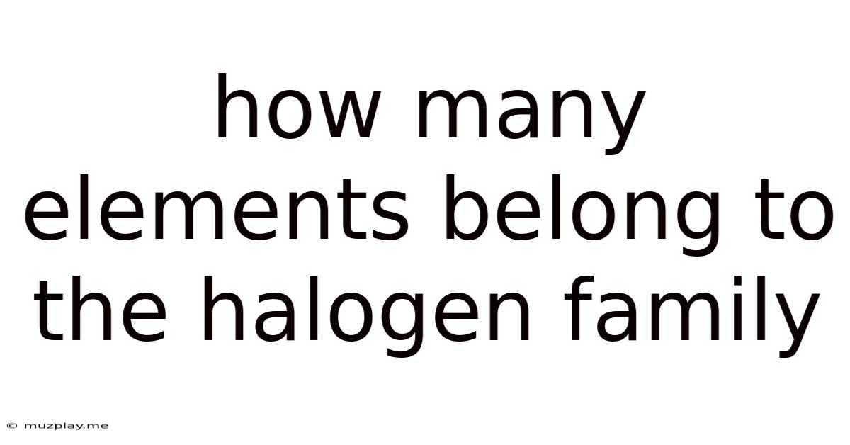 How Many Elements Belong To The Halogen Family
