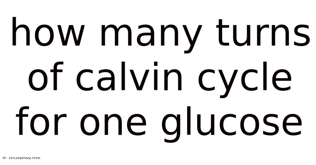 How Many Turns Of Calvin Cycle For One Glucose