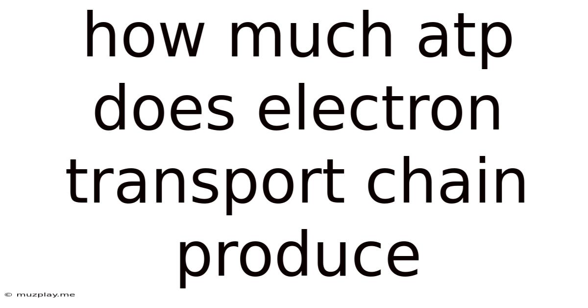 How Much Atp Does Electron Transport Chain Produce