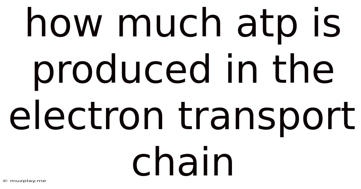 How Much Atp Is Produced In The Electron Transport Chain