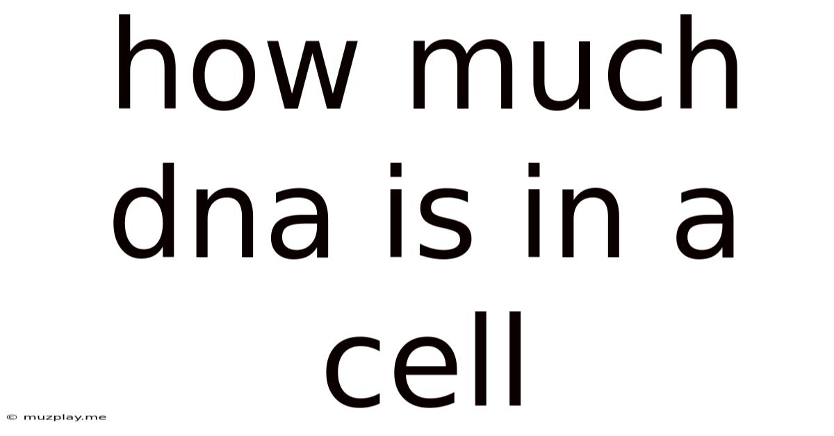 How Much Dna Is In A Cell
