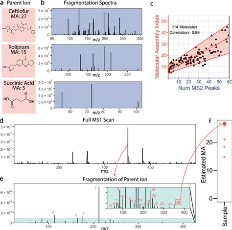 How To Analysis Mass Spectrometry Data