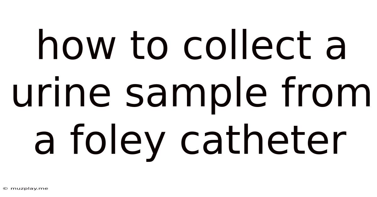How To Collect A Urine Sample From A Foley Catheter