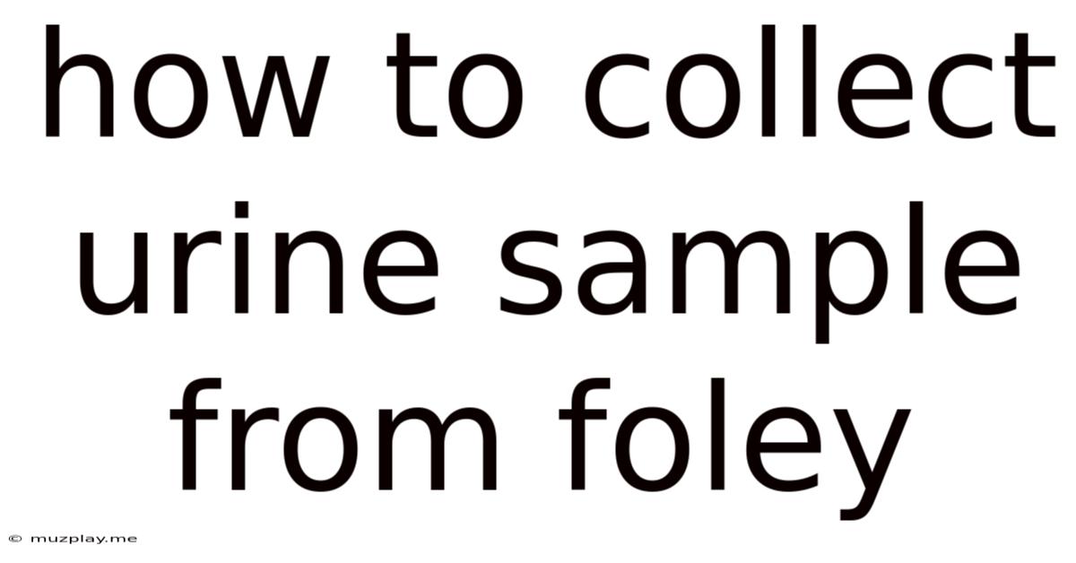 How To Collect Urine Sample From Foley