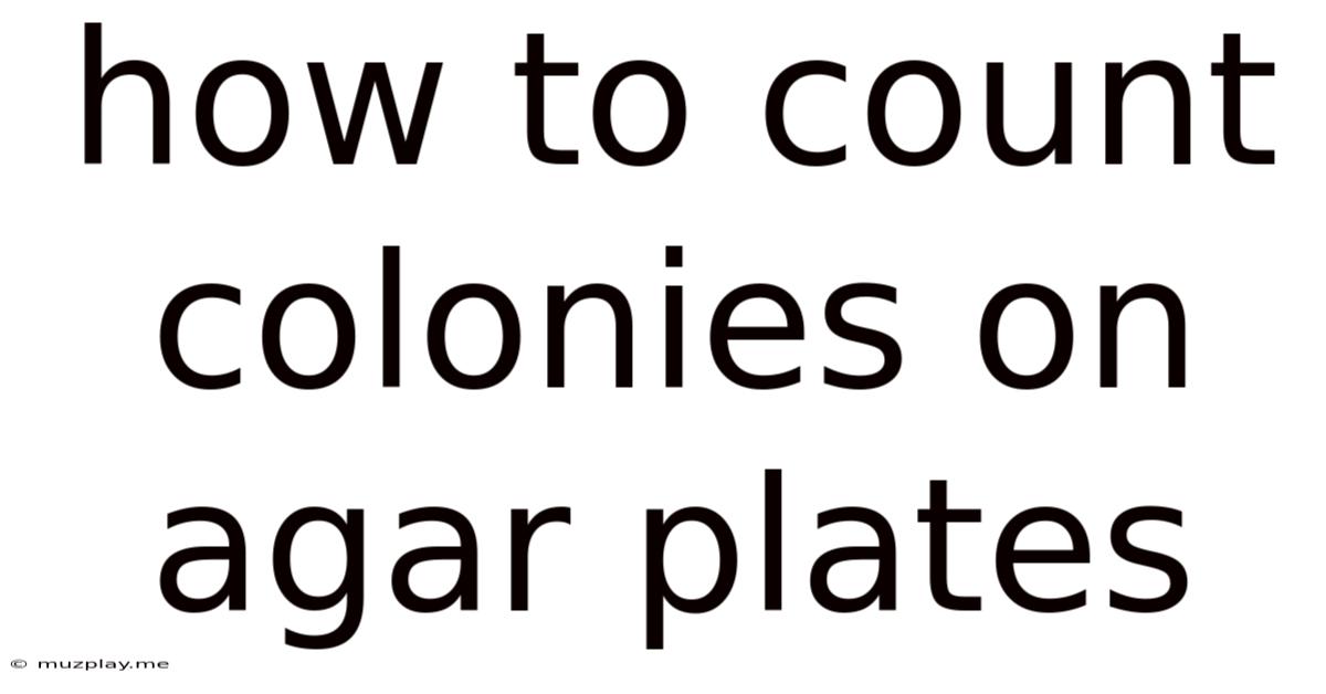 How To Count Colonies On Agar Plates