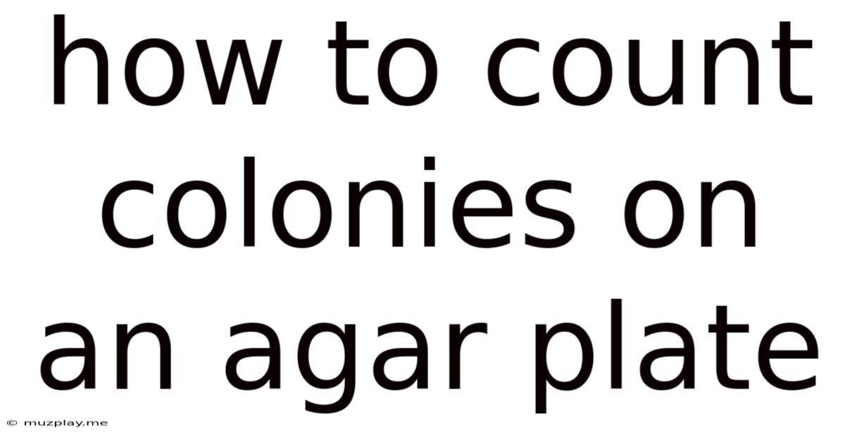 How To Count Colonies On An Agar Plate