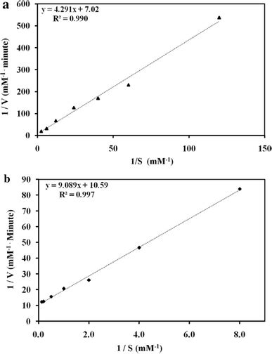 How To Find Initial Velocity Enzymes Lineweaver Burk