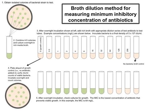 How To Interpret Minimum Inhibitory Concentration