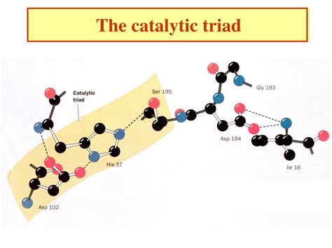 How To Make A Catalytic Triad