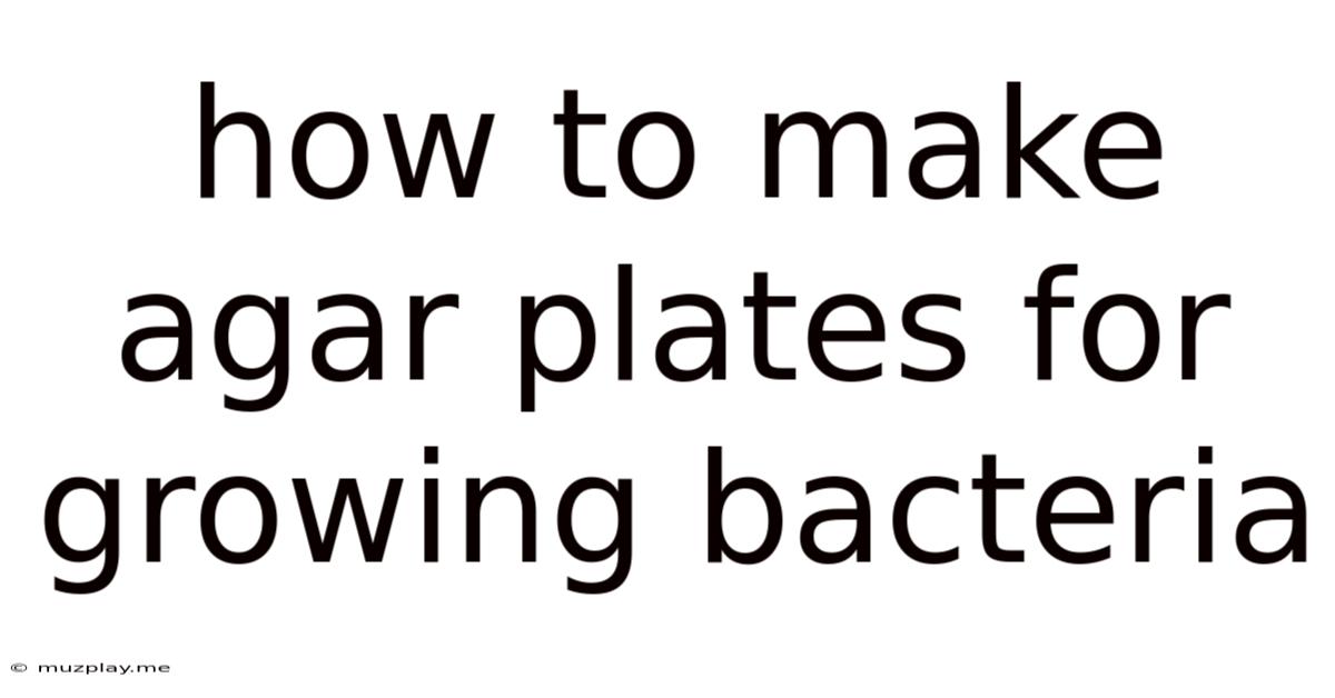 How To Make Agar Plates For Growing Bacteria