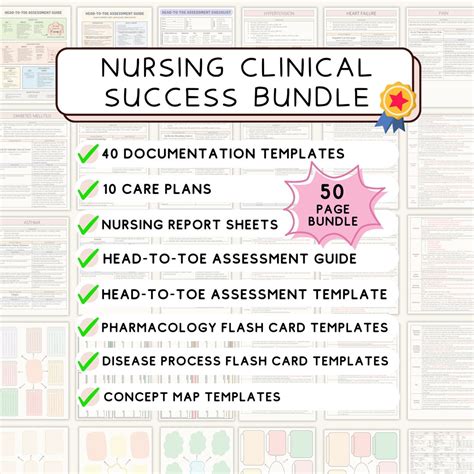 How To Succeed In Nursing School Pdf