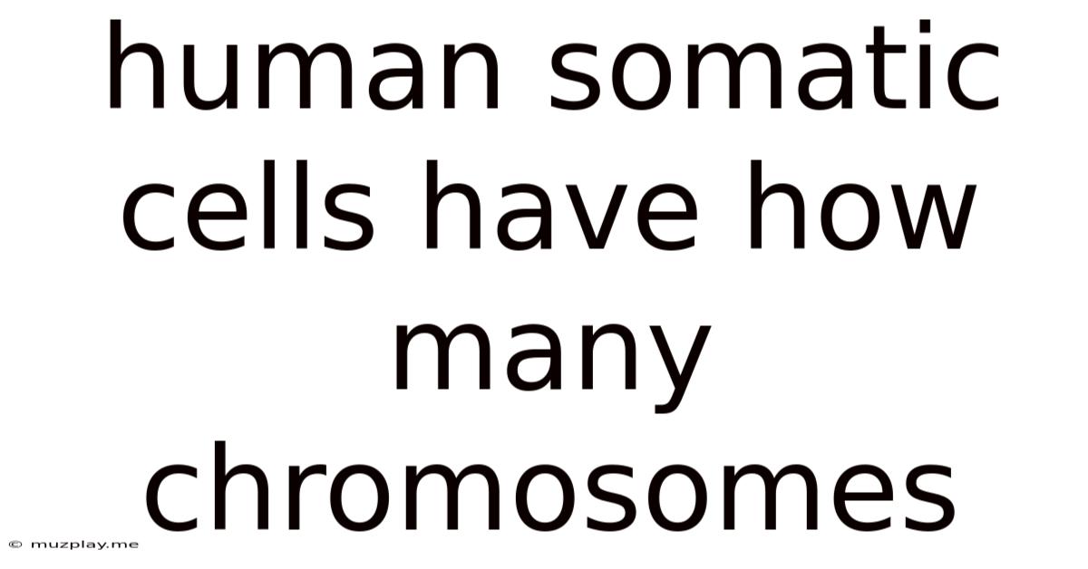 Human Somatic Cells Have How Many Chromosomes