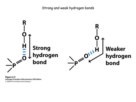 Hydrogen Bonds Are Weak Or Strong