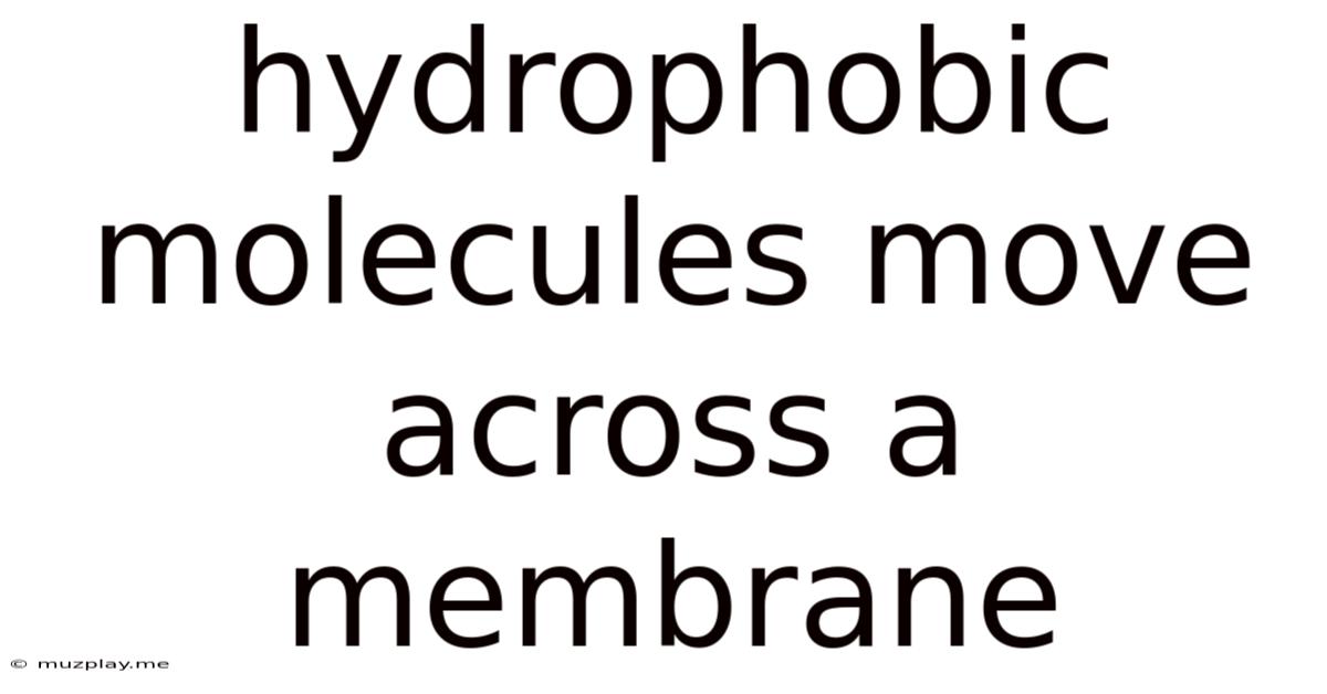 Hydrophobic Molecules Move Across A Membrane