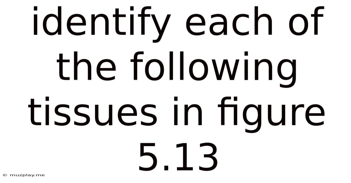 Identify Each Of The Following Tissues In Figure 5.13