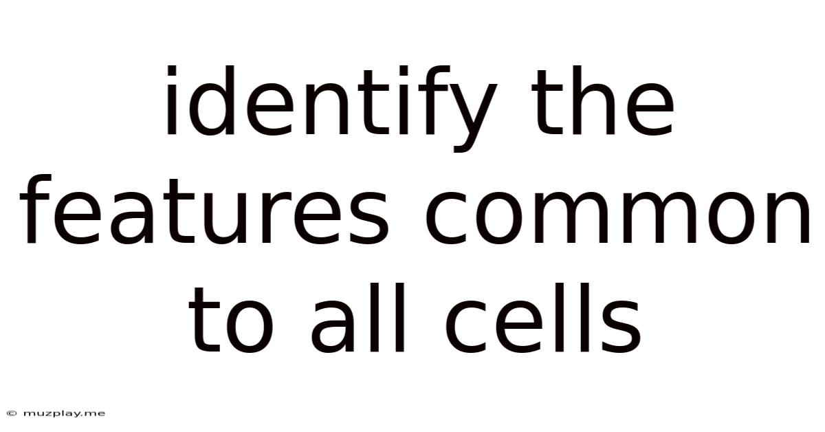 Identify The Features Common To All Cells