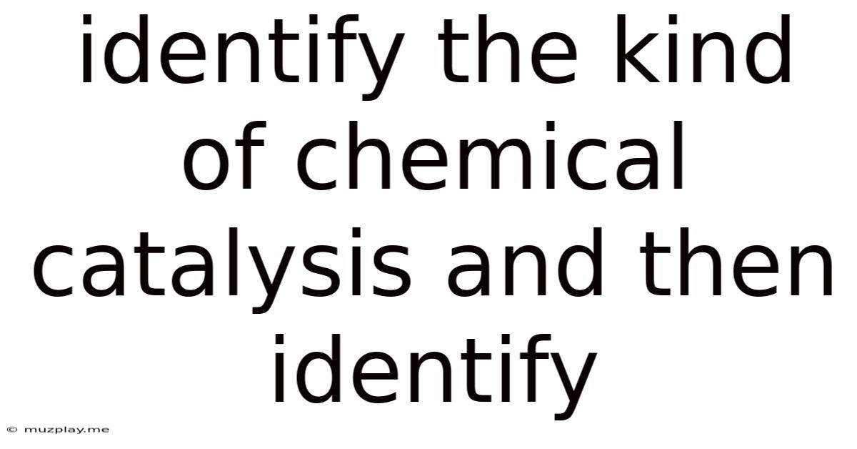 Identify The Kind Of Chemical Catalysis And Then Identify