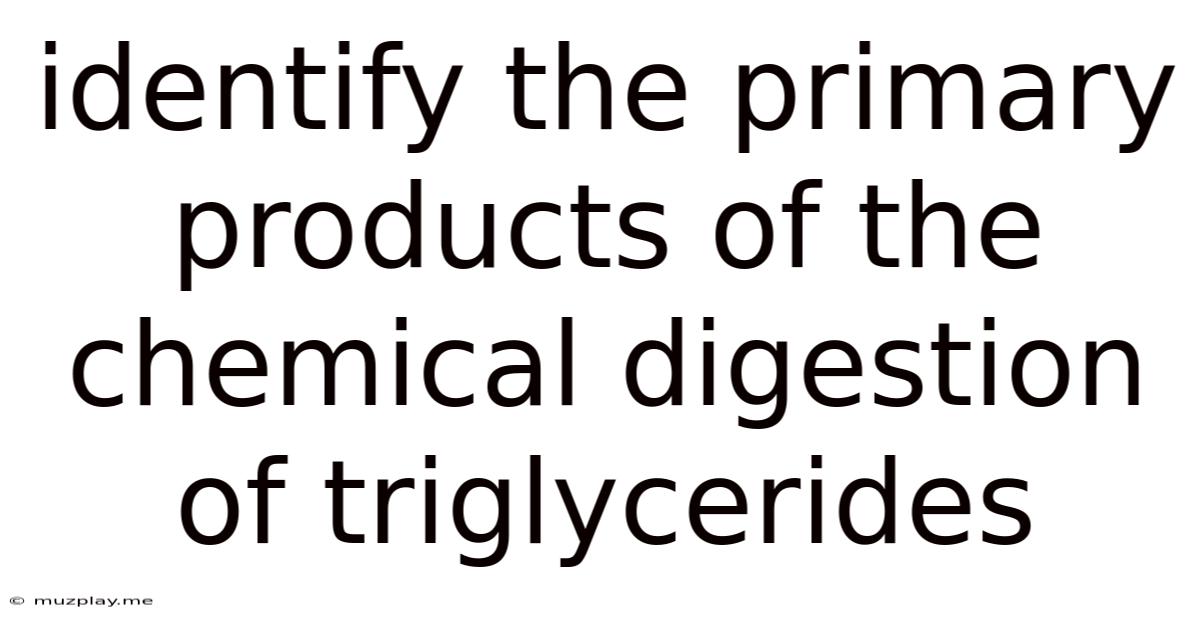 Identify The Primary Products Of The Chemical Digestion Of Triglycerides