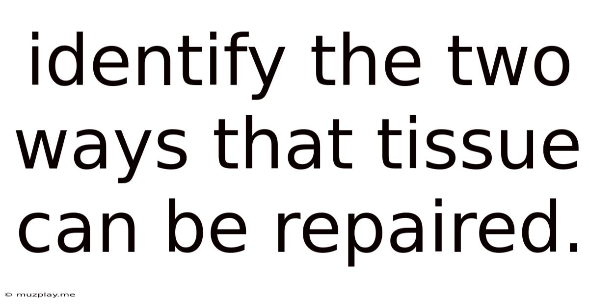Identify The Two Ways That Tissue Can Be Repaired.