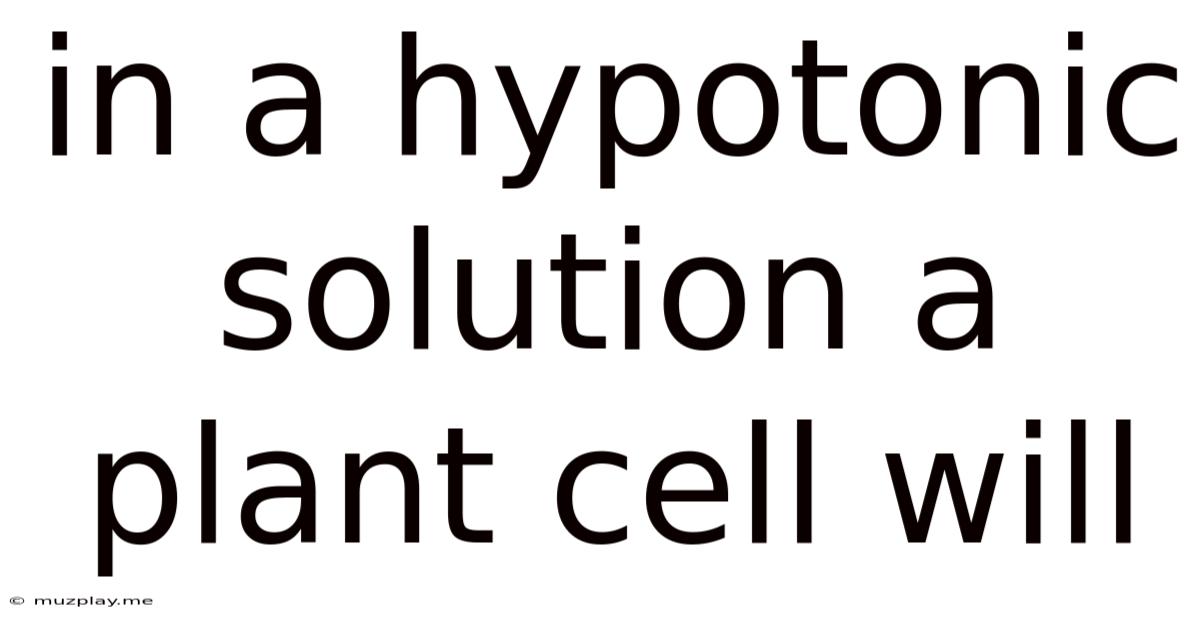 In A Hypotonic Solution A Plant Cell Will