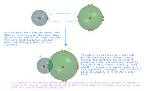 In A Polar Covalent Bond Electrons Are Shared