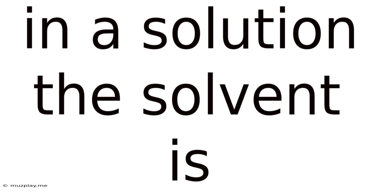 In A Solution The Solvent Is