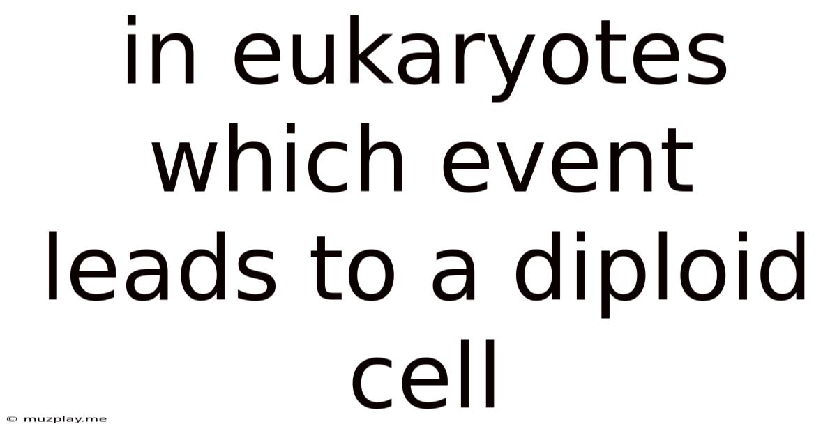 In Eukaryotes Which Event Leads To A Diploid Cell