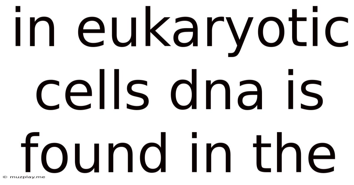 In Eukaryotic Cells Dna Is Found In The