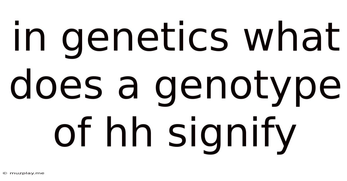 In Genetics What Does A Genotype Of Hh Signify