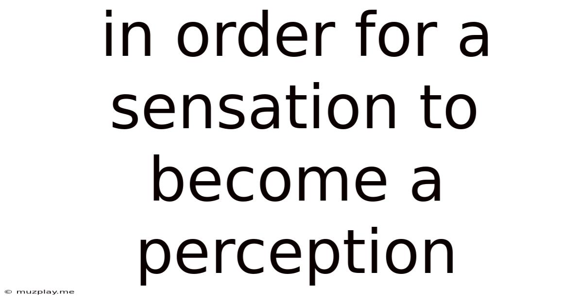 In Order For A Sensation To Become A Perception