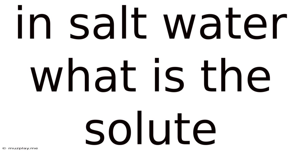 In Salt Water What Is The Solute
