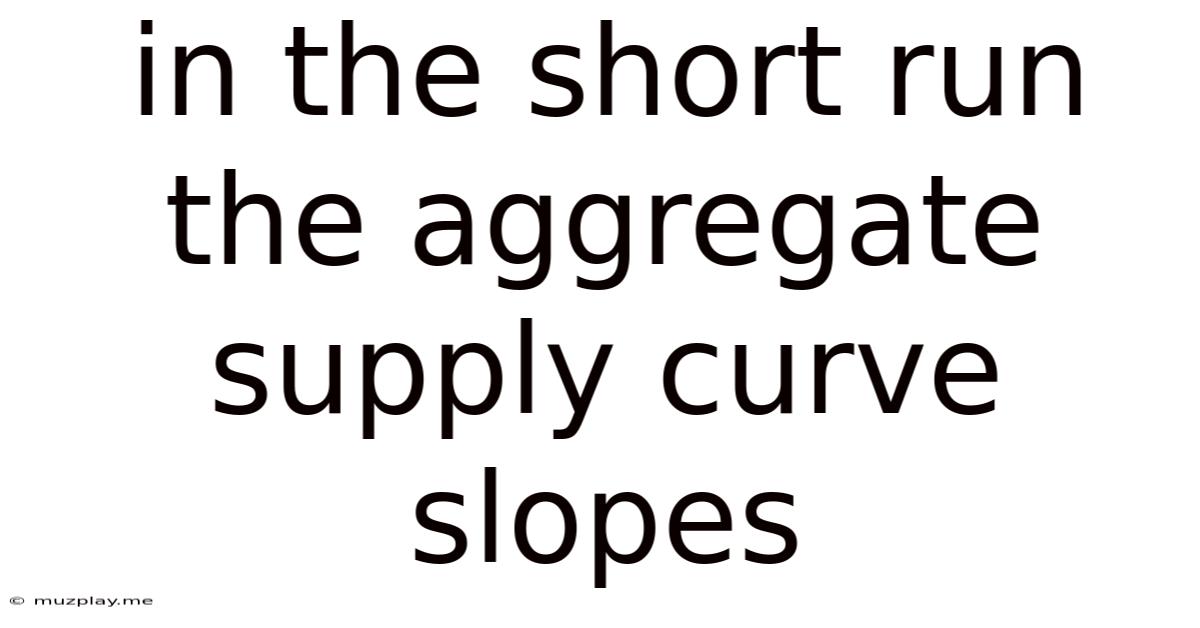 In The Short Run The Aggregate Supply Curve Slopes