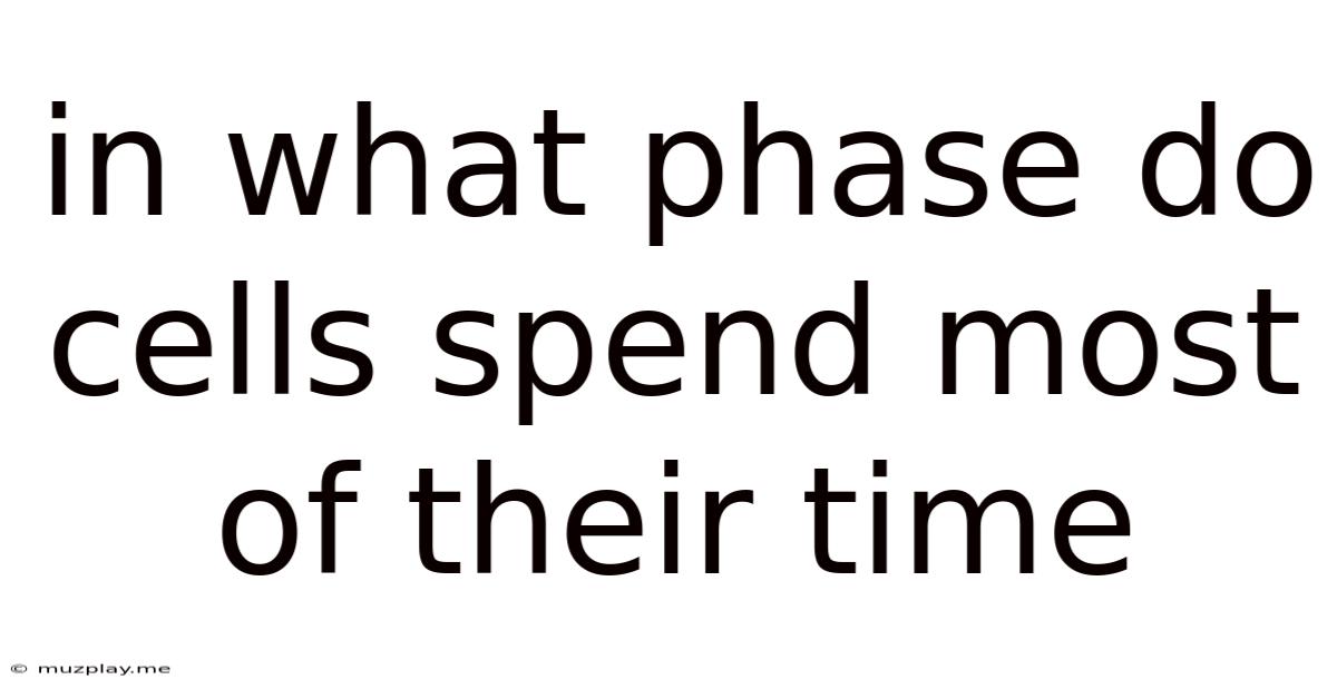 In What Phase Do Cells Spend Most Of Their Time