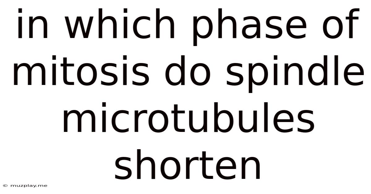 In Which Phase Of Mitosis Do Spindle Microtubules Shorten
