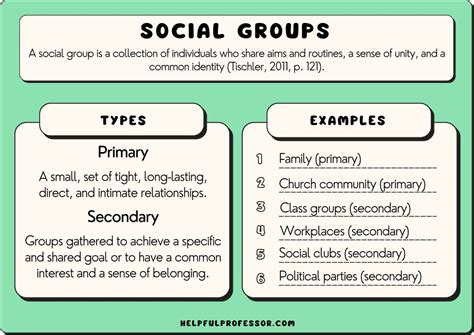 Individuals Considered Members Of The Same Social Category Or Group.