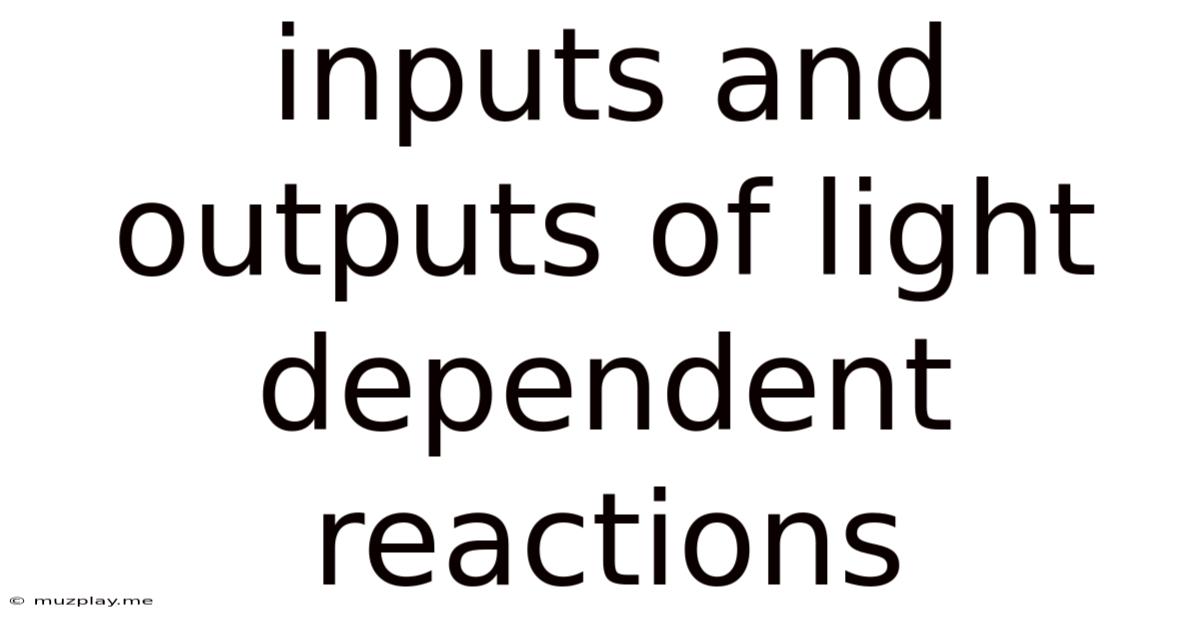 Inputs And Outputs Of Light Dependent Reactions