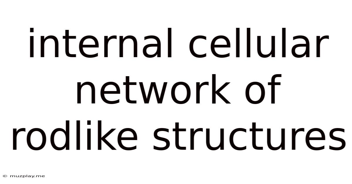 Internal Cellular Network Of Rodlike Structures
