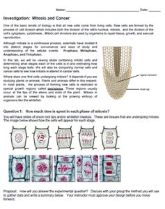 Investigation Mitosis And Cancer Answer Key