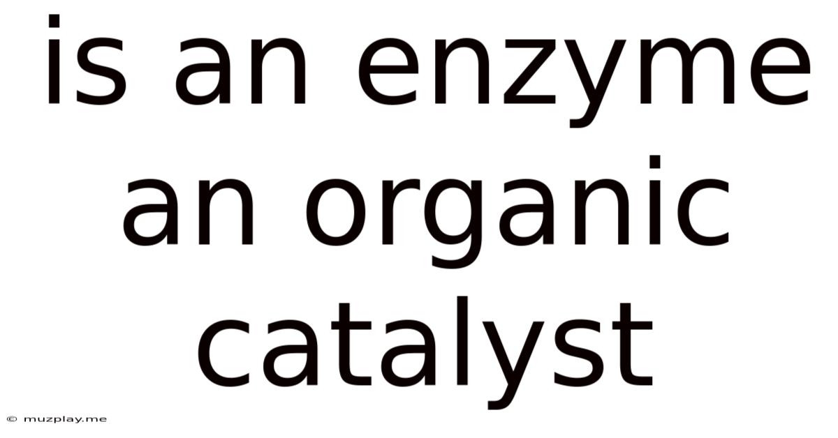 Is An Enzyme An Organic Catalyst