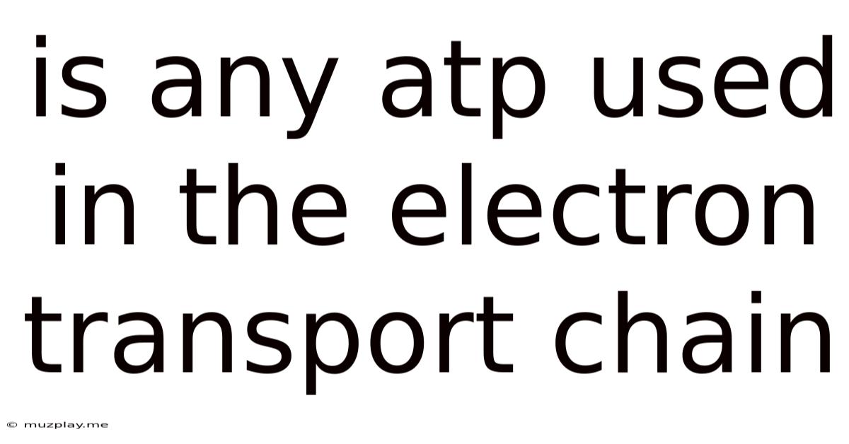 Is Any Atp Used In The Electron Transport Chain