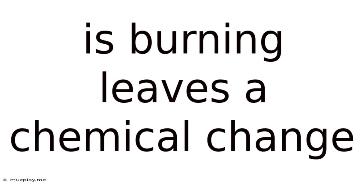 Is Burning Leaves A Chemical Change