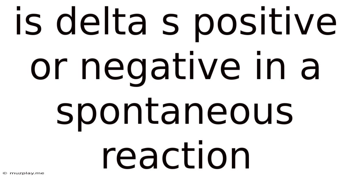 Is Delta S Positive Or Negative In A Spontaneous Reaction
