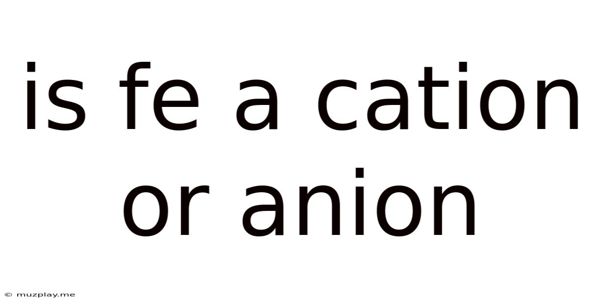 Is Fe A Cation Or Anion